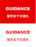 GUIDANCE